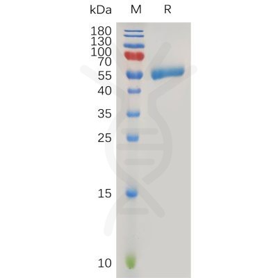 sp-pme100756 clec4c sp1