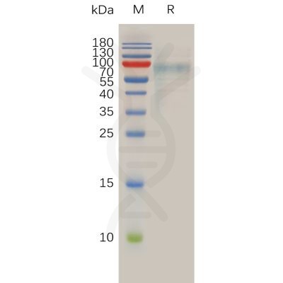 sp-pme100759 liv 1 sp1