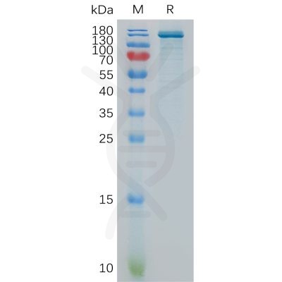 sp-pme101100 enpp3 sp1