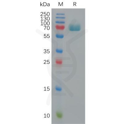sp-pme101145 bcam sp1