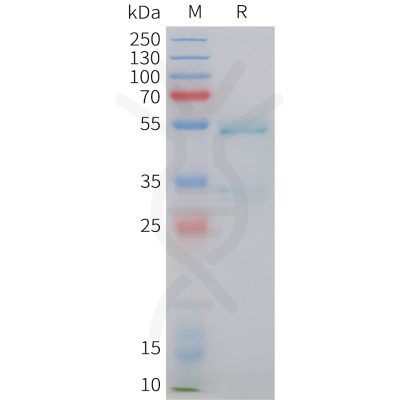 sp-pme101479 efna1 sp1