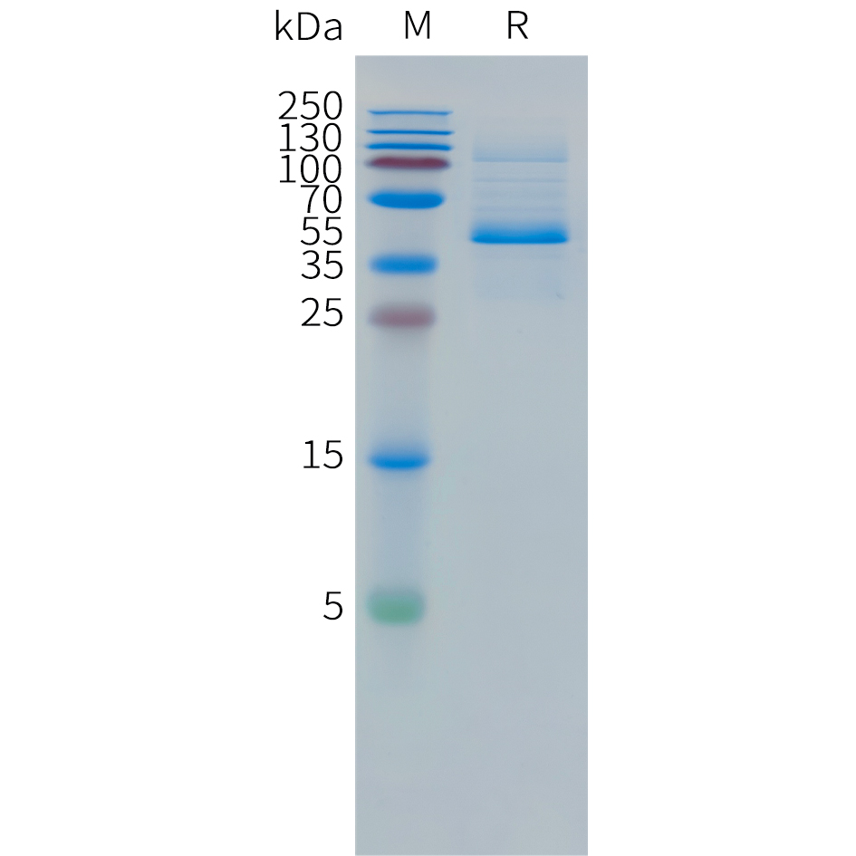 pme101498-dll3-sp1.jpg