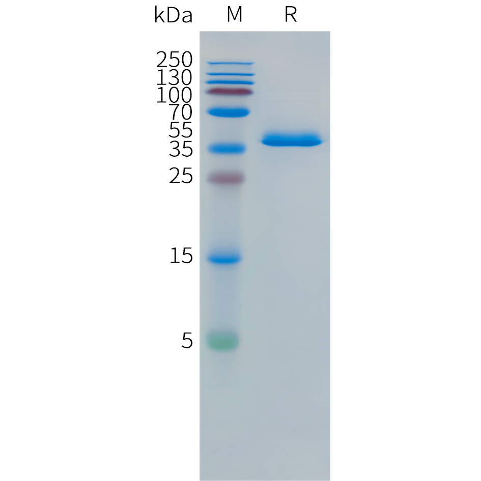 pme101499-dll3-sp1.jpg
