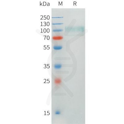 sp-pme101544 cadm1 sp1