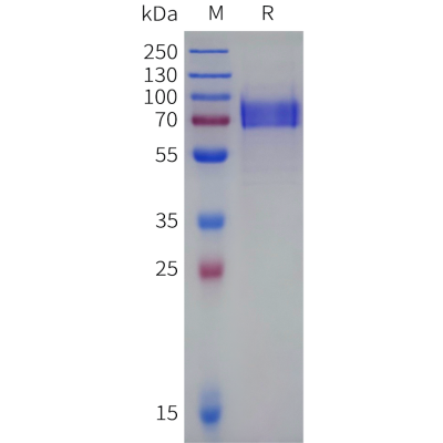 sp-pme101558b cd19 sp1