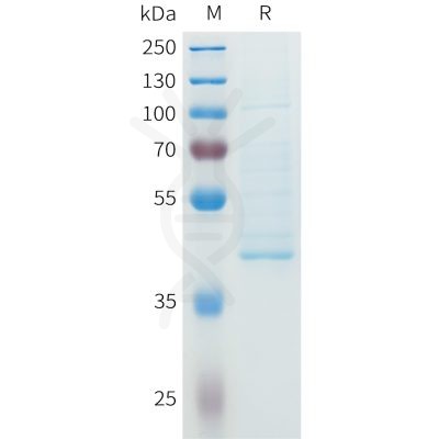 sp-pme101611 ngf sp1