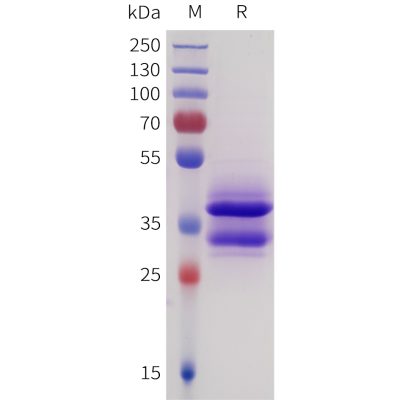sp-pme101730 sez6 sp1
