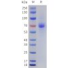 sp-pme101735 lilra4 sp1