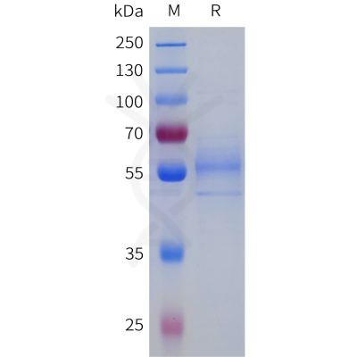 sp-pme101749 f7 sp1
