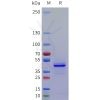 sp-pme101765 reg4 sp1