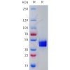 sp-pme101784 tacr2 sp1
