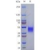 sp-pme101799 adra1a sp1