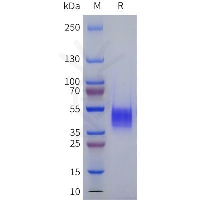 sp-pme101799 adra1a sp1