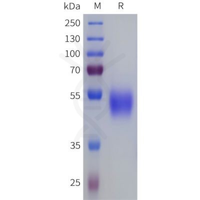 sp-pme101812 sstr3 sp1