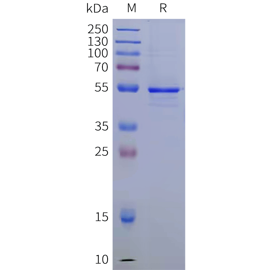 sp-pme101936 fzd3 sp1