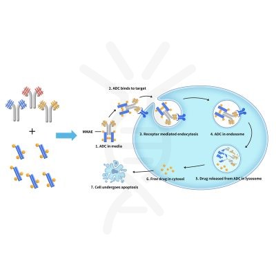 reagents-ame100003 4