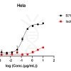 reagents-ame100005 reagent1