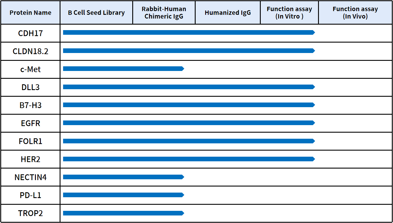 the progress of DIMA BIOTECH's IgG sequence targeting popular targets at 2026 AACR