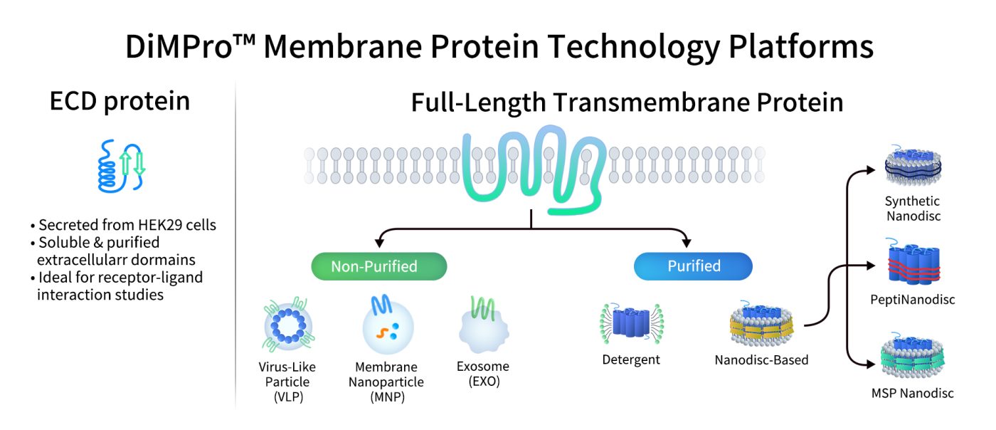 DiMProm Membrane Protein Technology Platforms