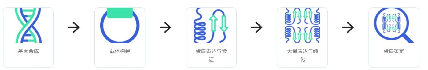 膜蛋白平台流程